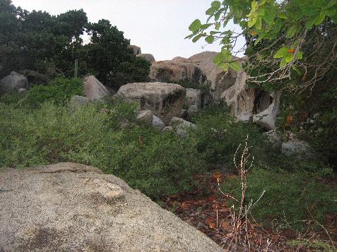 20060117163659   Skeletor rock